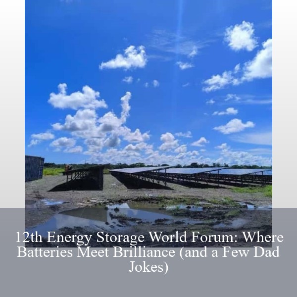 12th Energy Storage World Forum: Where Batteries Meet Brilliance (and a Few Dad Jokes)